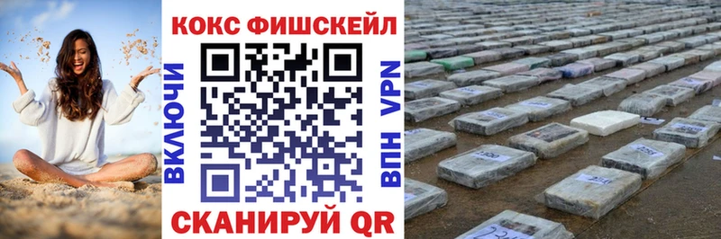 Кокаин Fish Scale  блэк спрут tor  Канаш 