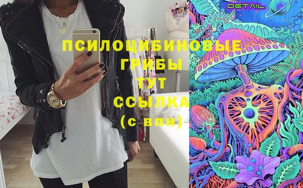 твердый Алексеевка